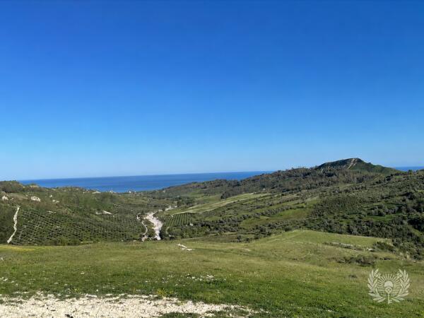 Grundstück 7.440 m² mit Meerblick, Olivenhain und Ruine in Kalabrien